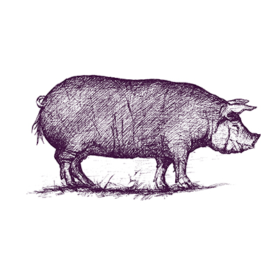 Bath Pig