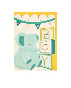 Raspberry Blossom - Golden Moments: Baby Boy (Elephant) - 6 x 20g
