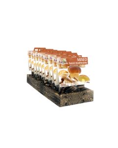 Foresta - Mixed Forest Dried Wild Mushrooms - 10 x 25g