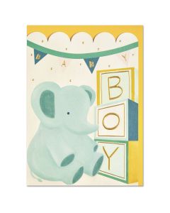 Raspberry Blossom - Golden Moments: Baby Boy (Elephant) - 6 x 20g