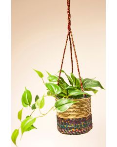 Wildlife World - Artisan Hanging Planter (Medium Cylinder) - 6 x 390g