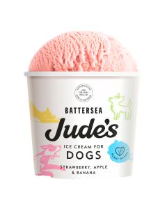 Jude's  - Ice Cream For Dogs  - 12 x 90ml