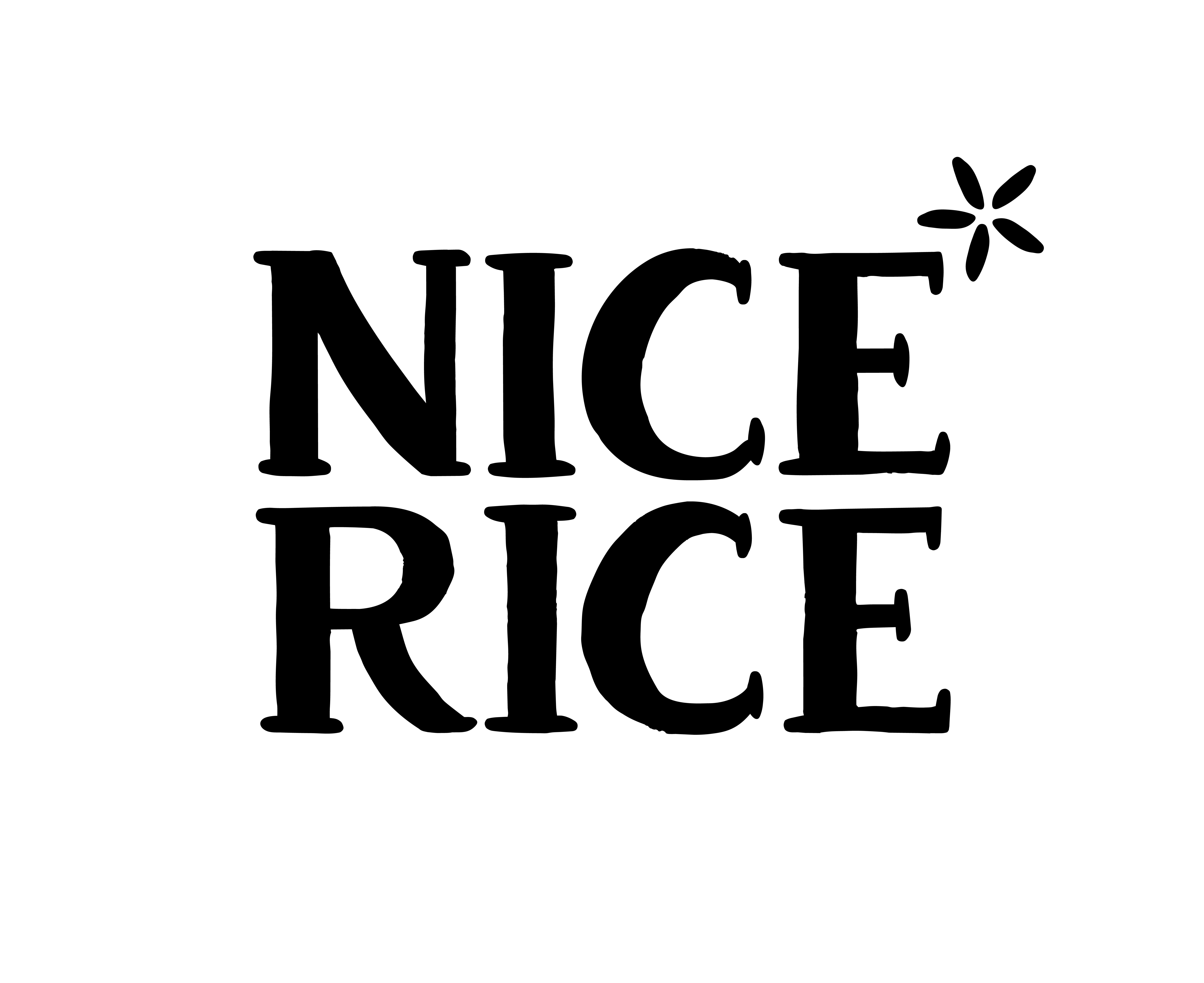 Nice Rice